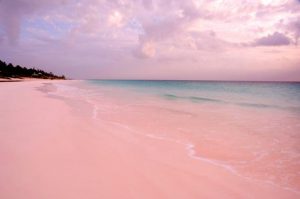 pink-beach-bahamas